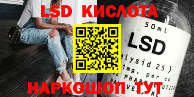 стафф Гай