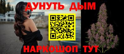 стафф Гай