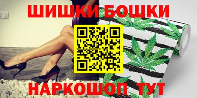 стафф Гай