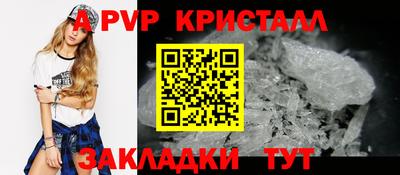 стафф Гай