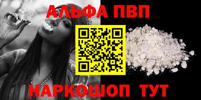 стафф Гай