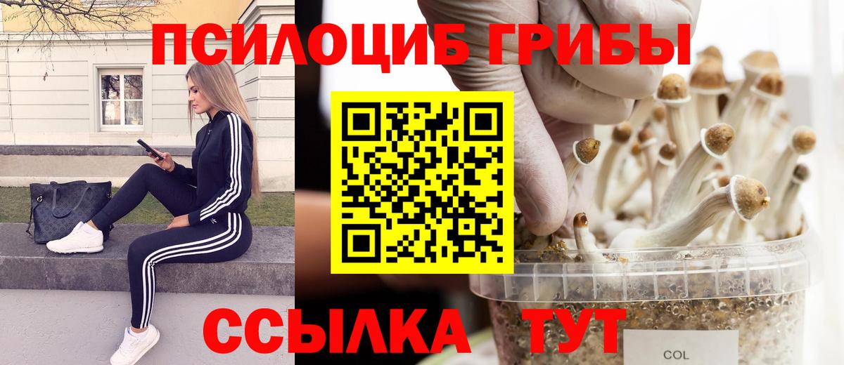 Альфа ПВП Надым